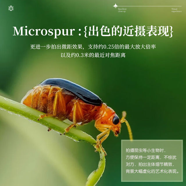 Brand new Canon RF 50mmF1.8 STM small spittoon 50 1.8 large aperture fixed focus micro single full frame lens