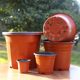 Double -color seedlings flower pot Nutrition bowl Plastic planting disposable cuttings thickened large cultivation strawberry succulent flower