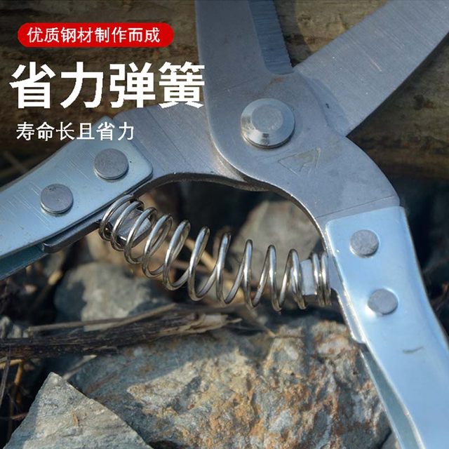 Gardening pruning scissors, pruning shears, stainless steel fruit trees, garden branches, bonsai pruning tools, special fruit pruning tools