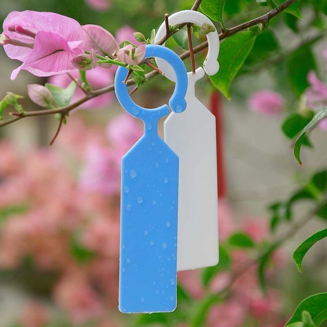 Thickened ring buckle mark sign gardening small label identification flower brand succulent potted plant label green plant waterproof brand list