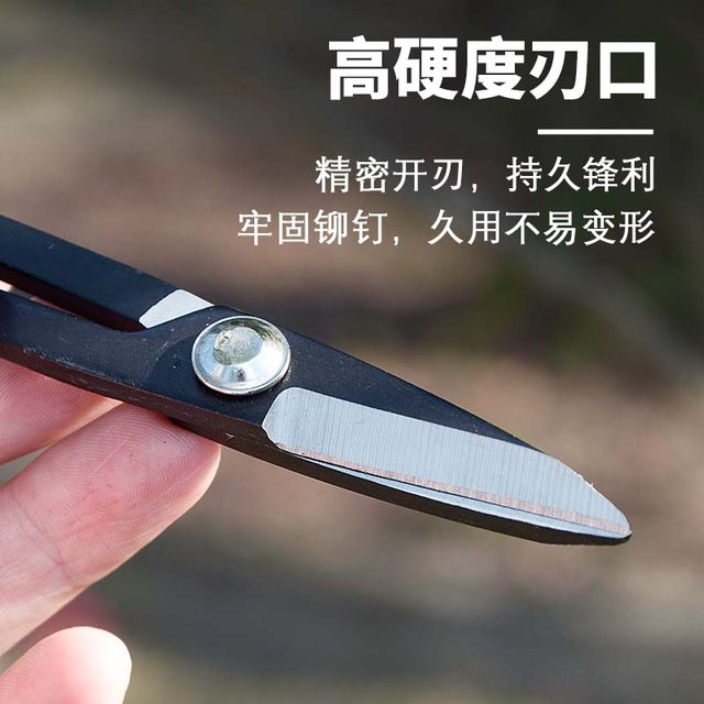 
Leaf bud twig shears, bonsai scissors, bud shears, gardening pruning, professional flower shears, flower arrangement making tools