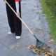 
Grass rake, leaf rake, gardening wire, leaf picker, iron toothed loquat, lawn agricultural stainless steel garden tool