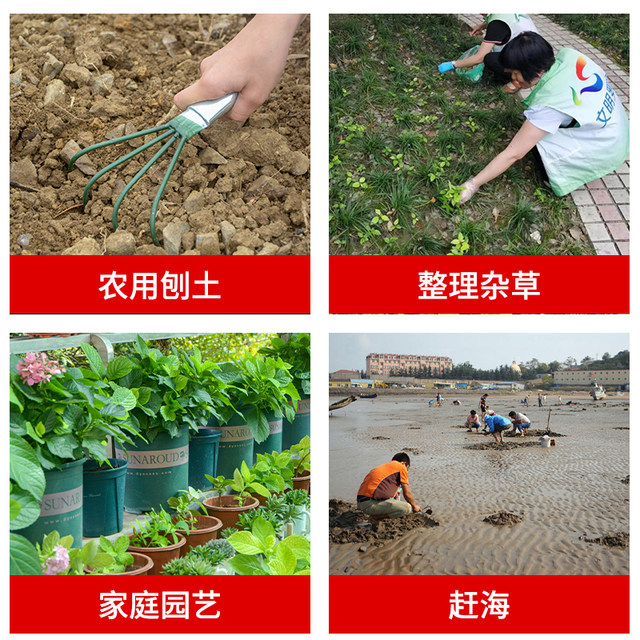 Sea catching tool artifact rake set seaside beach clam digging shell snail digging equipment stainless steel clam rake