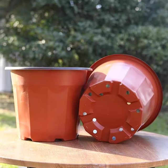Double -color seedlings flower pot Nutrition bowl Plastic planting disposable cuttings thickened large cultivation strawberry succulent flower