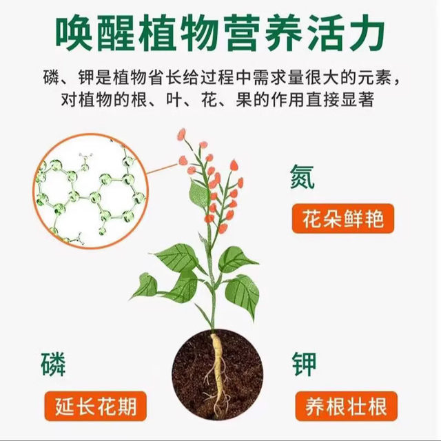 Flowers, vegetables, fruits, trees, phosphate fertilizer, fertilizer, flowering fertilizer, organic fertilizer, urea fertilizer, compound fertilizer, succulent fertilizer, gardening material
