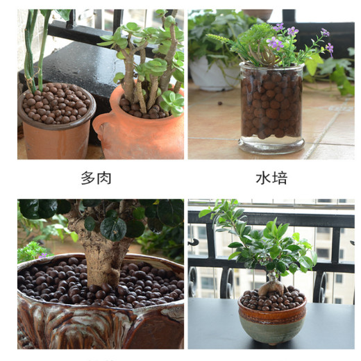 Special succulent nutritious soil for ceratops and bottoms for flowering, backfill fish tank hydroponics and volcanic stone pellet potted plant