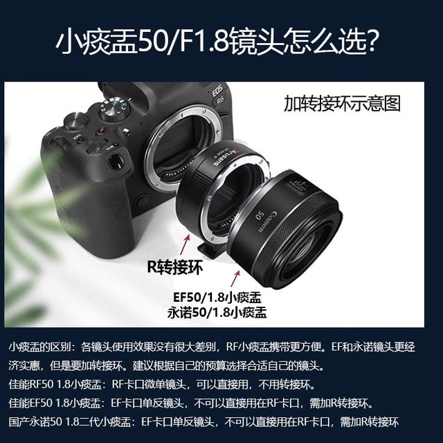 Brand new Canon/Canon EOS R50 set machine R50 micro single entry-level student camera travel live r50