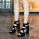 Waterproof thick-heeled high-heeled shoes for women 2025 summer new style hollow thick-soled temperament shoes fish mouth fashion sandals