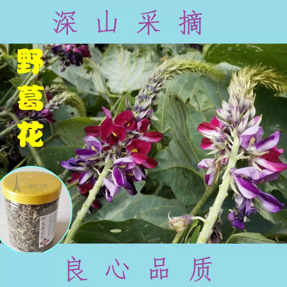 纯葛花 新人首单立减十元 21年11月 淘宝海外