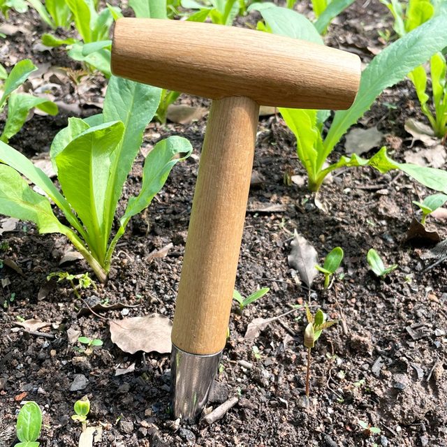 Vegetable garden sowing hole drill transplanting seedlings top-dressing solid wood handle gardening vegetable seedlings flower sowing tool seedlings