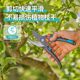 Germany imported Jiading branches and clipping gardening special scissors and fruit trees Pruning branches, scissors, garden branches, cut flowers