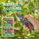 Germany imported Jiading branches and clipping gardening special scissors and fruit trees Pruning branches, scissors, garden branches, cut flowers