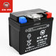 Wuyang Honda Joy Little Princess Youyue 100 Yue Qiaoge MTX5L-RS original starter battery battery