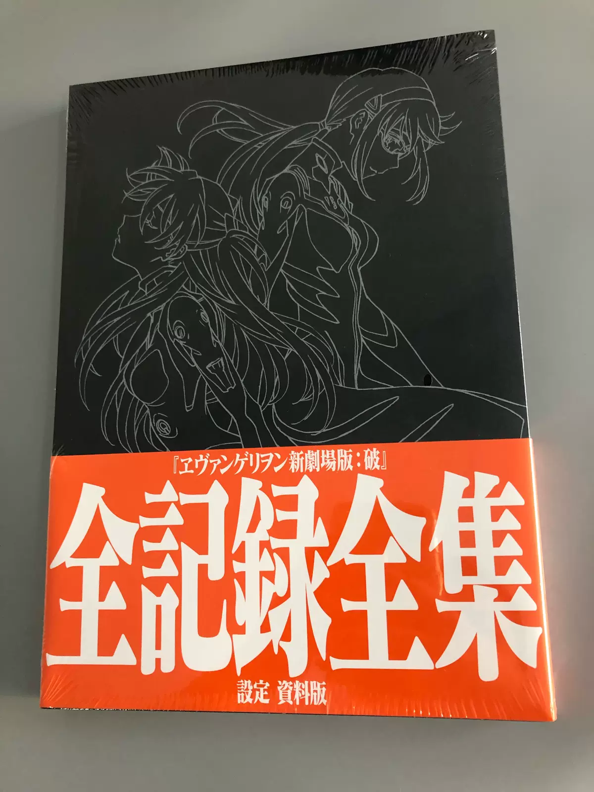 銀座正規取扱店 【未開封】ヱヴァンゲリヲン 新劇場版 全記録全集 2冊