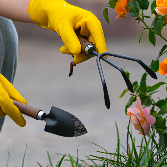 ECHO Japanese metal wooden handle gardening small shovel loose soil flower planting tool household set potted succulent shovel