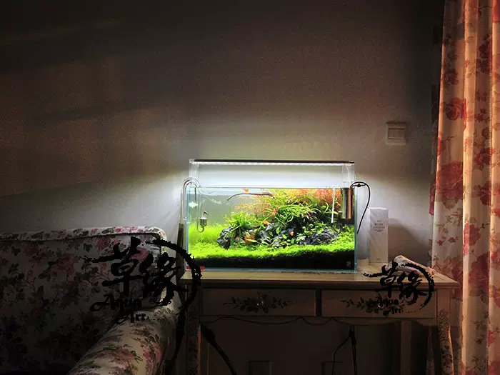 千寻led Ada同款水之天空led水草灯30 36 45 60缸包邮 千寻led Ada同款水之天空led水草灯30 36 45 60缸包邮