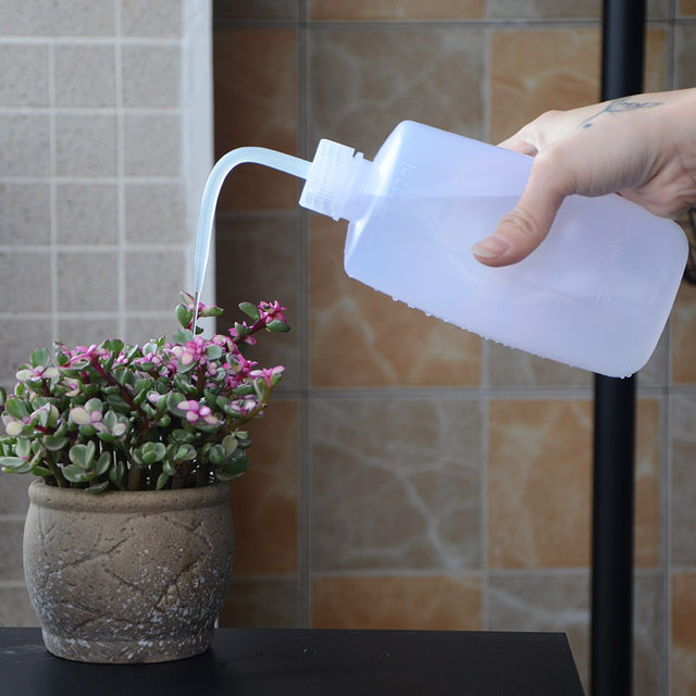 Pointed mouth curved mouth kettle squeeze water filling household flower watering kettle watering kettle meaty tool meaty watering kettle long mouth pot