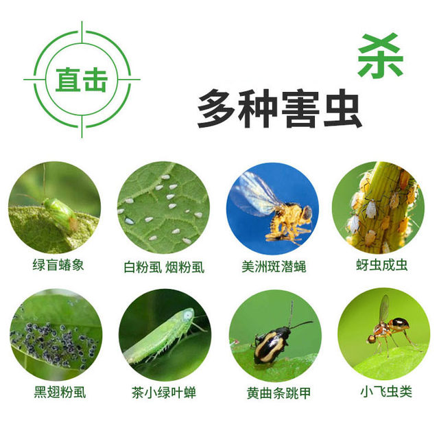 Yellow board double-sided sticky board insect trap blue board paper sticker yellow flying insect small black fly sticky fly trap sticky board moth