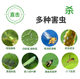 Yellow board double-sided sticky board insect trap blue board paper sticker yellow flying insect small black fly sticky fly trap sticky board moth