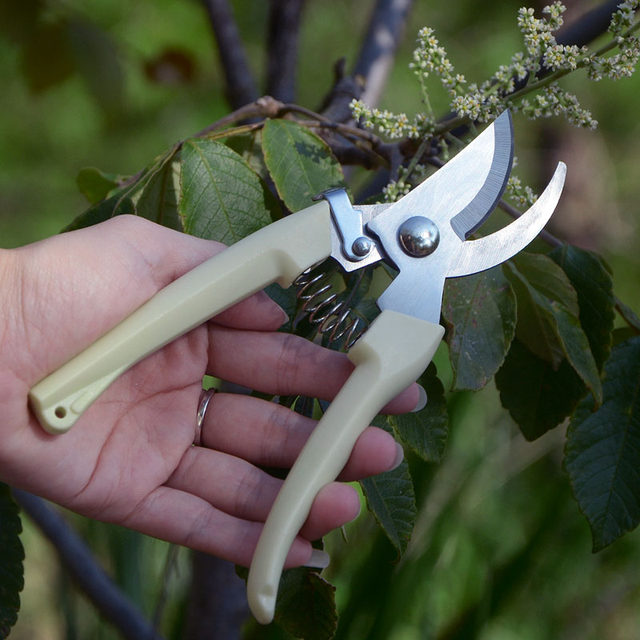 Gardening garden tool branches cutting anti -sliding handle, cutting stainless steel branches, cutting flowers, crop branches, garden scissors
