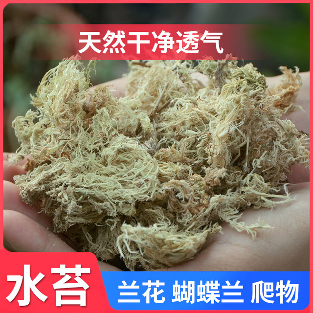 High-quality sphagnum sterile dry sphagnum moss butterfly orchid special nutrition soil moss dendrobium carnivorous plant turtle crawling pet