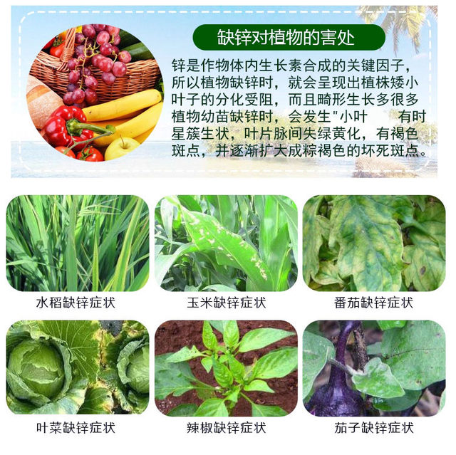 Agricultural zinc sulfate fertilizer planting vegetable and flowering fertilizer foliar fertilizer flower planting fertilizer agricultural prevention yellow leaves
