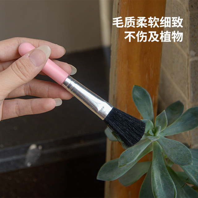 Succulent plant moss tool soft hair green small leaf dust removal cleaning brush gardening pot cleaning grey removal powder
