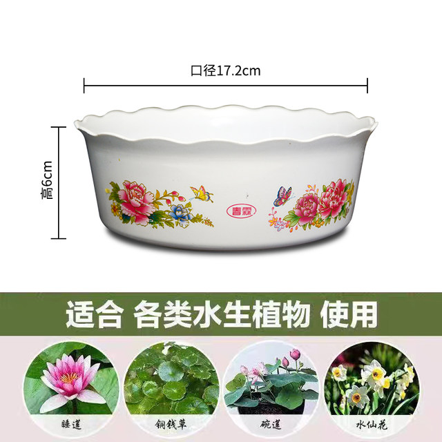 Non-porous hydroponic plastic narcissus flower pot thickened copper money grass bowl lotus lotus water lily water plant special small flower pot