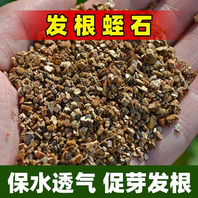 Perlite grain turtle egg hatching for vermiculite cuttings for flower cultivation, special soil for rose cuttings