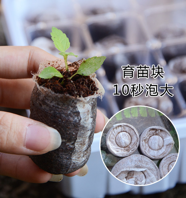 Succulent leaf insert seedling pot three-piece set culture sowing box moisturizing warm seedling tray 12 holes plastic seedling box cover