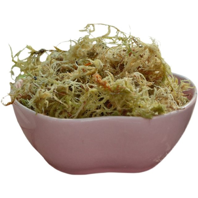 High-quality sphagnum sterile dry sphagnum moss butterfly orchid special nutrition soil moss dendrobium carnivorous plant turtle crawling pet