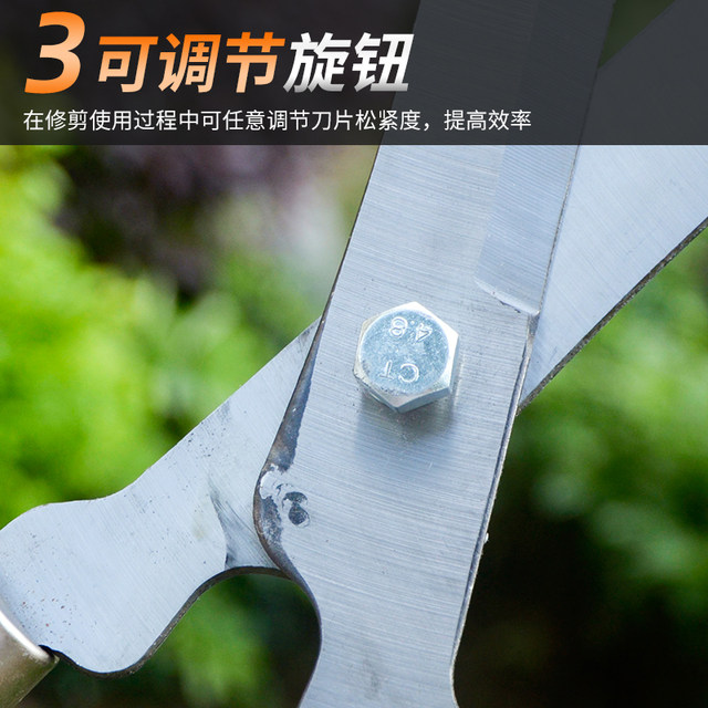 Gardening scissors lengthening large pruning and cutting flowers and plants greening household tools hedge garden pruning trees sharp branches and shears