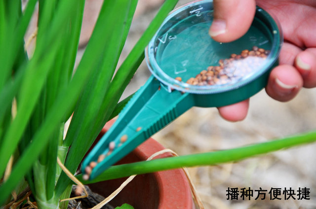 Rapeseed on demand vegetable manual seedling tray multifunctional carrot cabbage flower gardening small small grain seeder
