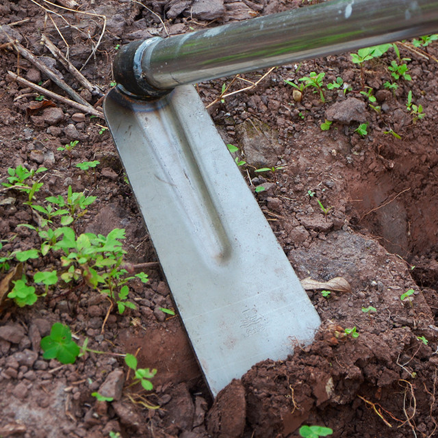 Hoe for growing vegetables, gardening tools, forged iron handle, long handle, manganese steel hoe for growing vegetables, plowing the ground, digging bamboo shoots, clearing wasteland and weeding