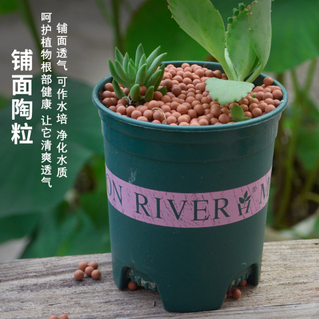 Colored ceramsite breathable ceramsite soil particles breathable green plant flower pot bottom pavement special hydroponic terracotta pellets