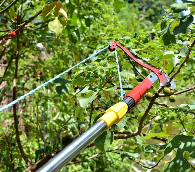 Send rope telescopic high-branch shears, high-altitude branch shears, fruit-picking shears, fruit-picking shears, pruning shears, scissors extension poles