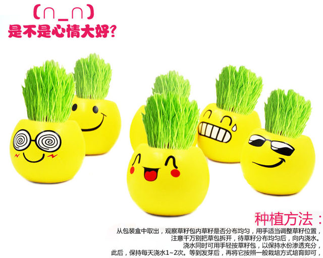 Grass head doll office mini plant small potted grass planting expression desktop diy potted plant student gift