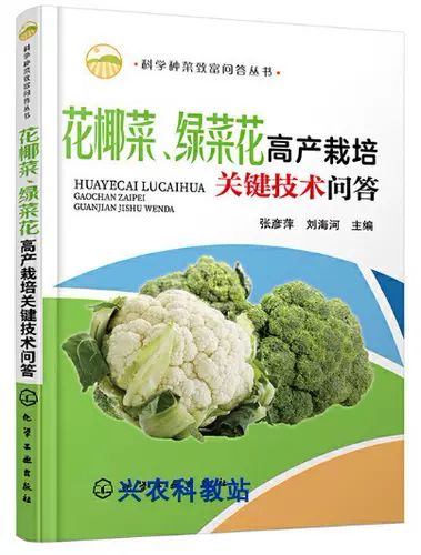 花椰菜育苗 新人首单立减十元 22年2月 淘宝海外