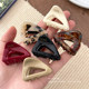 Triangular Acetate Clip Women's Autumn and Winter Small and Exquisite Hair Clip 2025 New Internet Celebrity Hair Clip Headgear