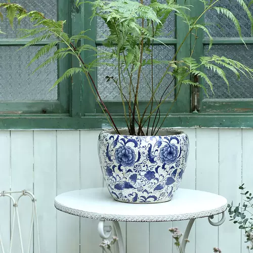 圆形花器盆栽 新人首单立减十元 22年2月 淘宝海外