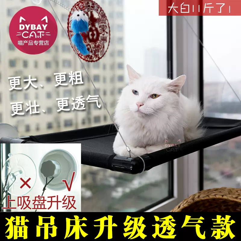 秋窝盘-新人首单立减十元-2021年11月淘宝海外