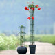 Small gardening flower stand single and double circle umbrella climbing frame clematis lantern flower climbing frame plant rose support