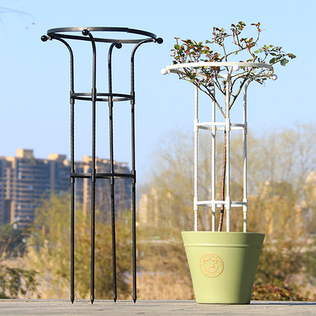Gardening single circle umbrella rose climbing pergola rose clematis climbing mushroom rose flower stand green plant bracket outdoor