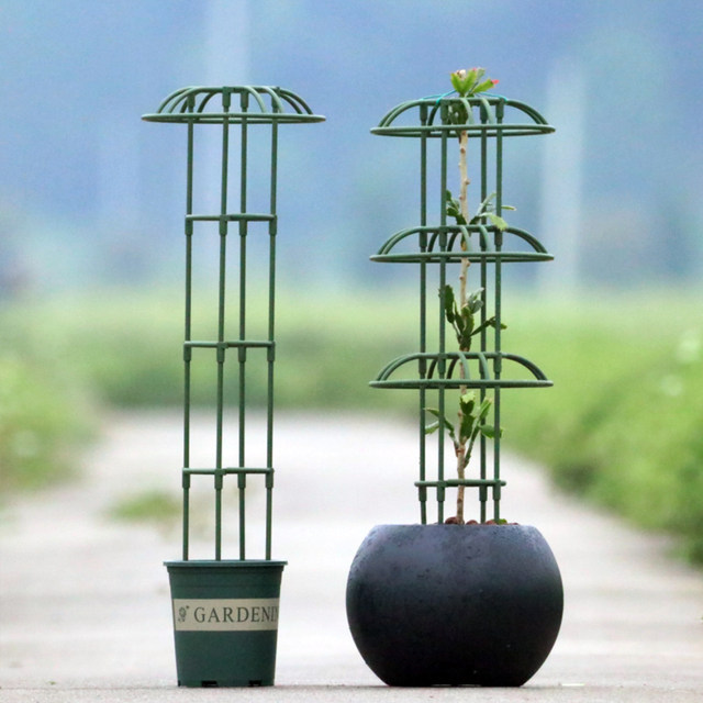 Small gardening flower stand single and double circle umbrella climbing frame clematis lantern flower climbing frame plant rose support