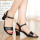 2023 New Sandals for Women Summer Versatile Summer Medium Heel Roman High Heels One-Buckle Thick Heels Korean Style Fish Mouth Sandals