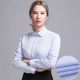 Women's long-sleeved business shirt with white background and blue stripes, slim fit, no-iron business wear, V-neck slimming, large size work shirt