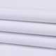 2019 new autumn and winter women's long-sleeved velvet thickened white shirt women's warm professional work clothes formal shirt