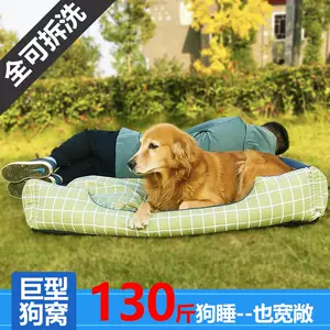 阿拉斯加犬超大型 新人首单立减十元 22年8月 淘宝海外