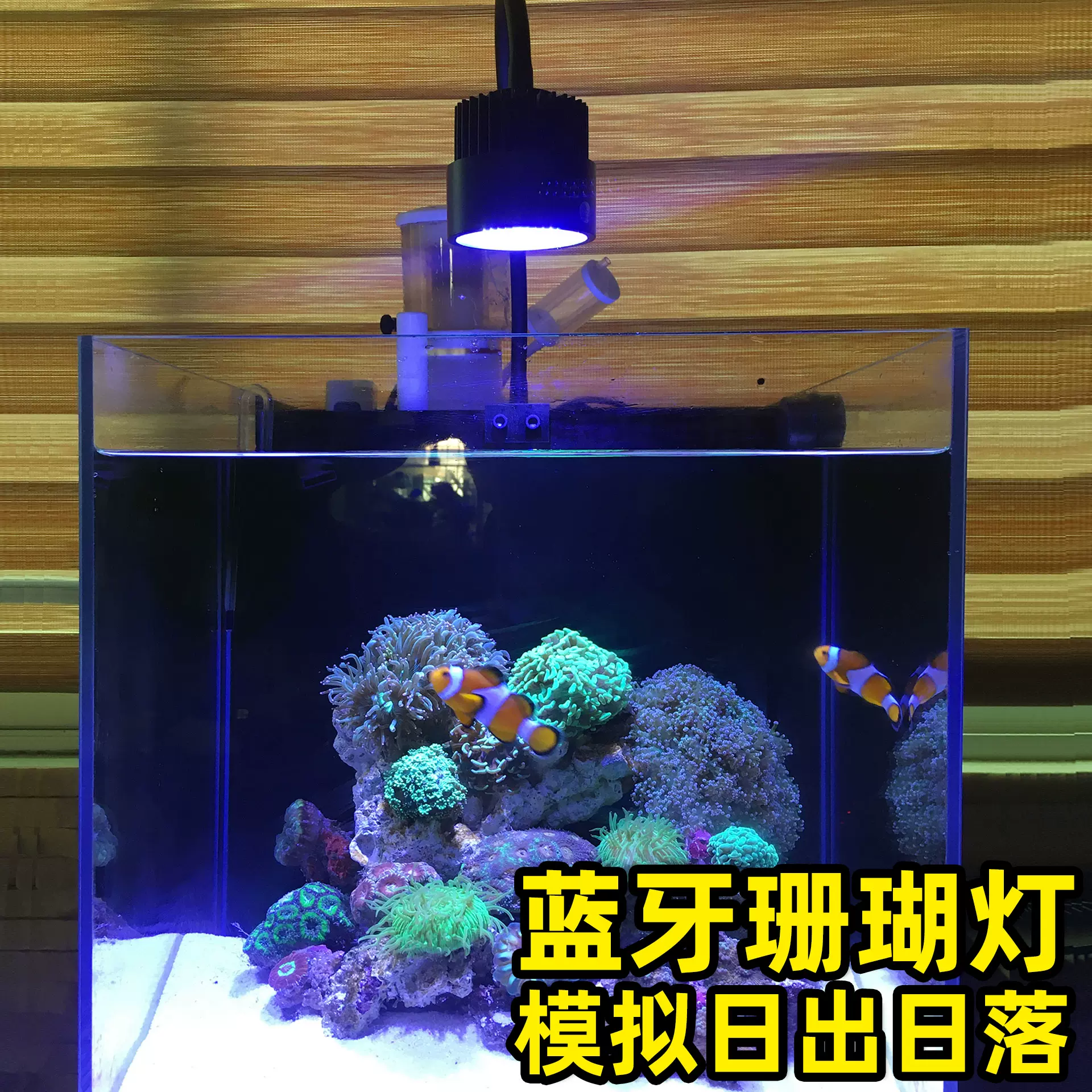 手機app藍牙珊瑚缸燈海缸led燈模擬日出日落微缸珊瑚燈海水缸補光 Taobao