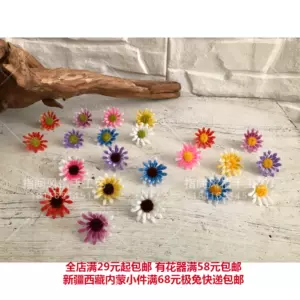 菊花花芯 新人首单立减十元 22年11月 淘宝海外